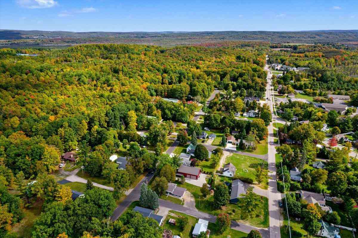 4292 Montague Street Walloon Lake MI 49796