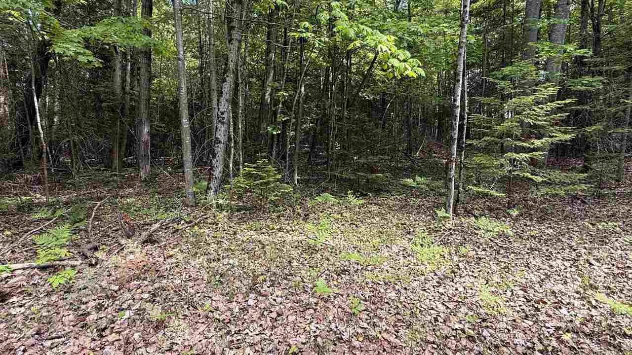 12851 Manitou Trail Kewadin MI 49648