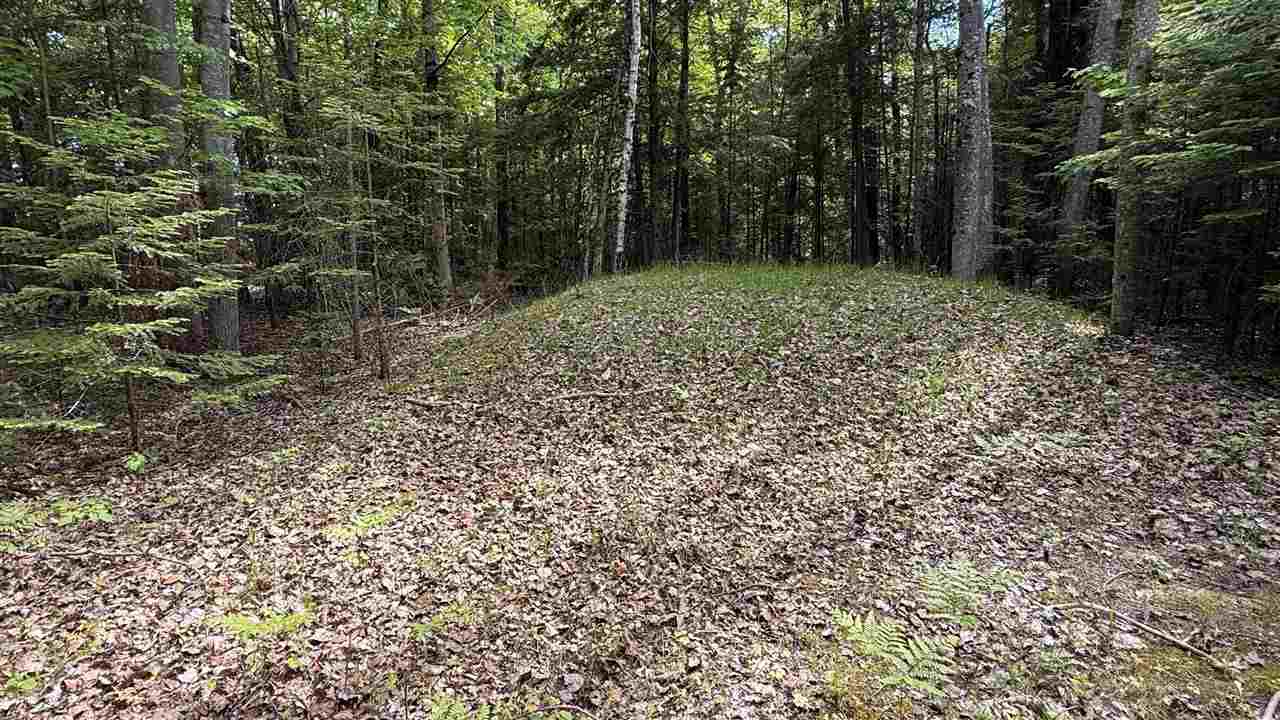 12851 Manitou Trail Kewadin MI 49648