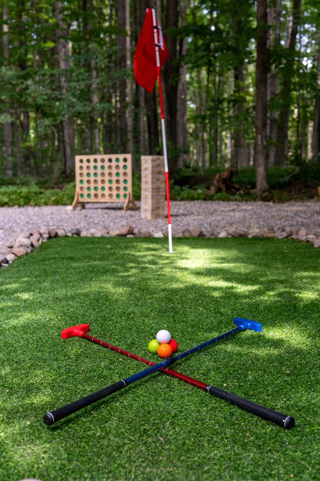 5811 East Village Drive Bellaire MI 49615