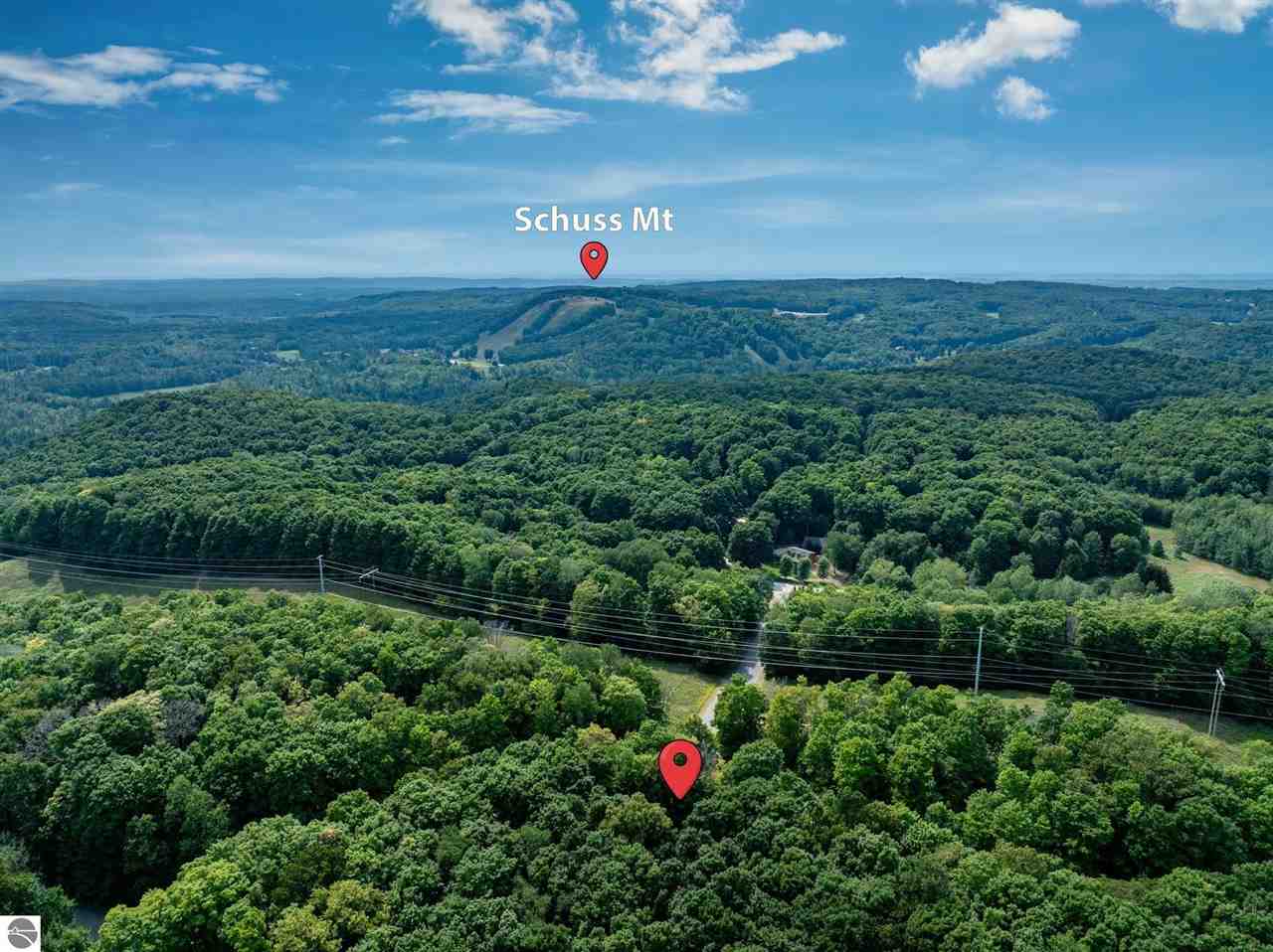 5811 East Village Drive Bellaire MI 49615