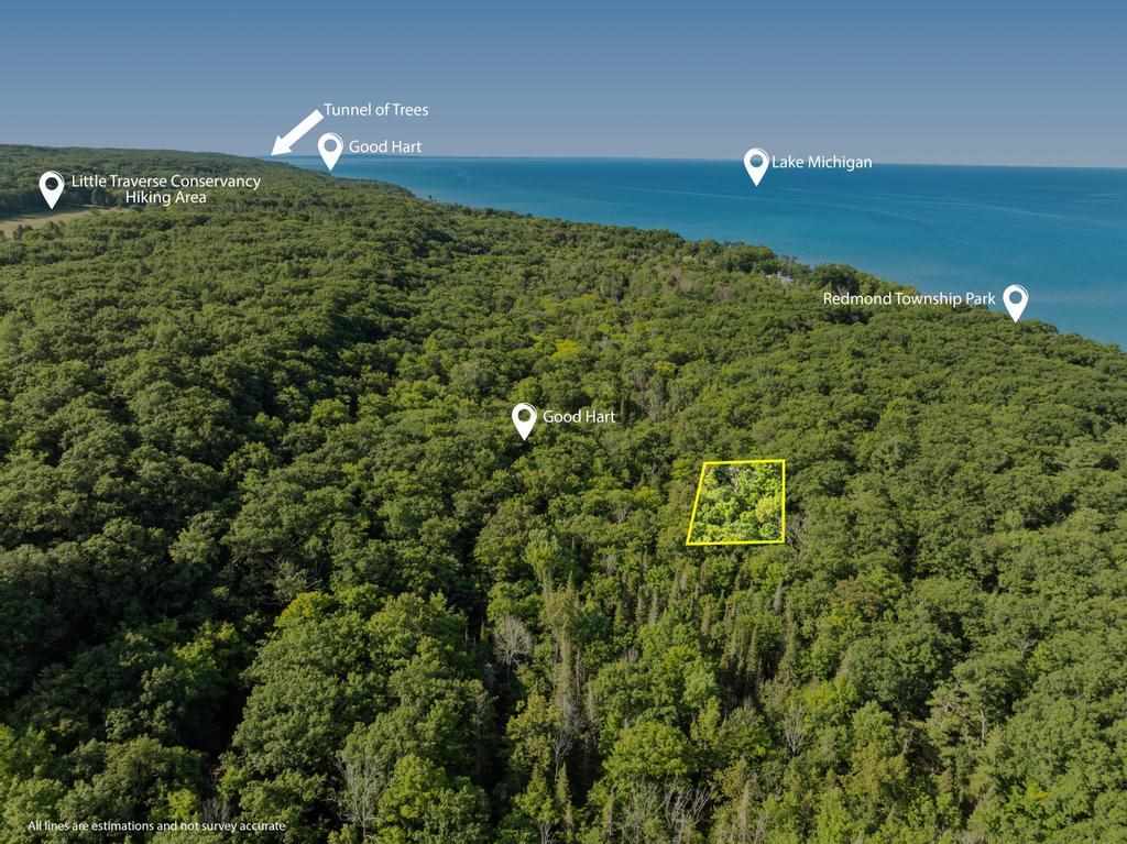 9770 Hemlock Trail Harbor Springs MI 49740