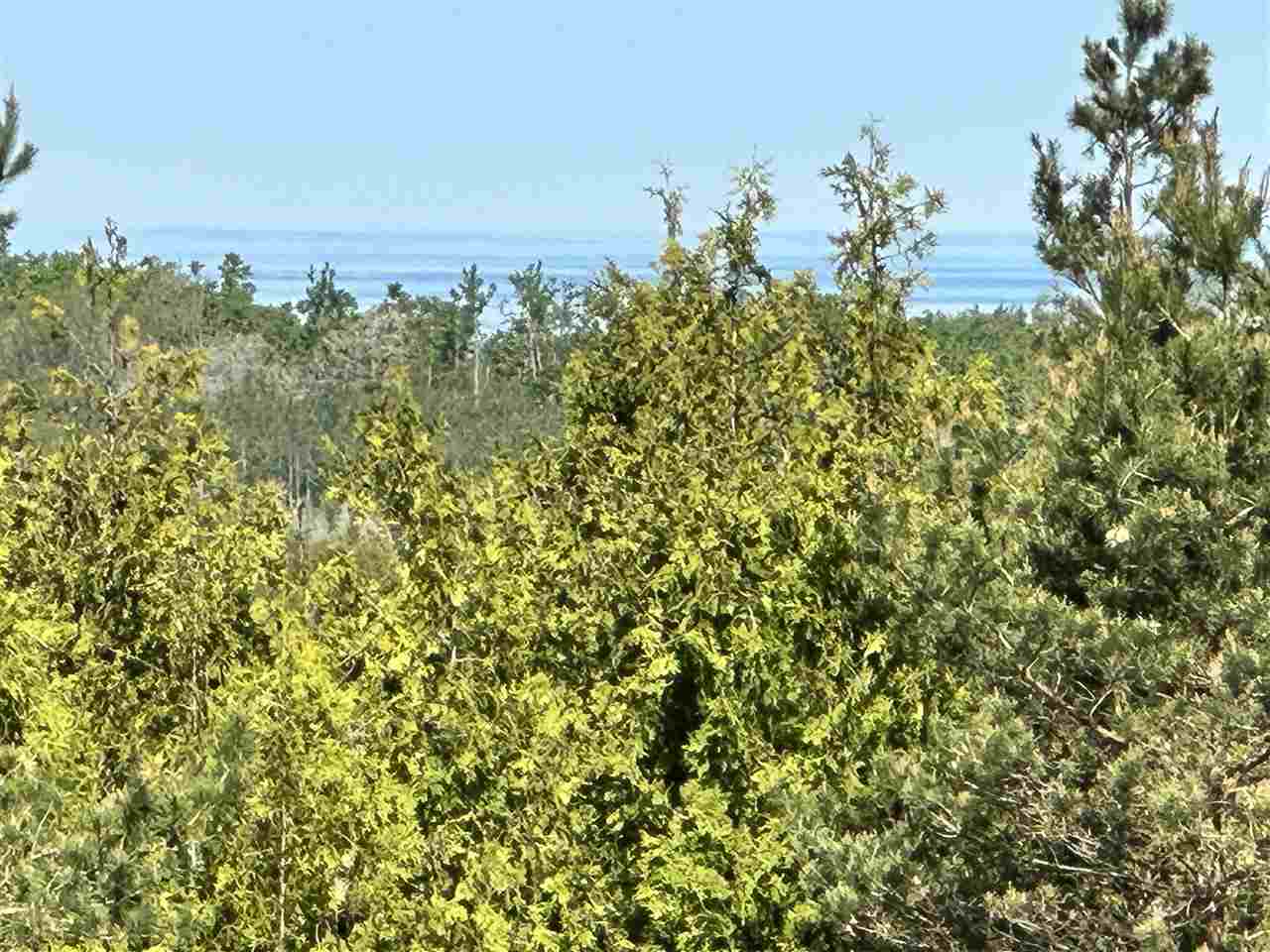 415 Alcan Drive Petoskey MI 49770