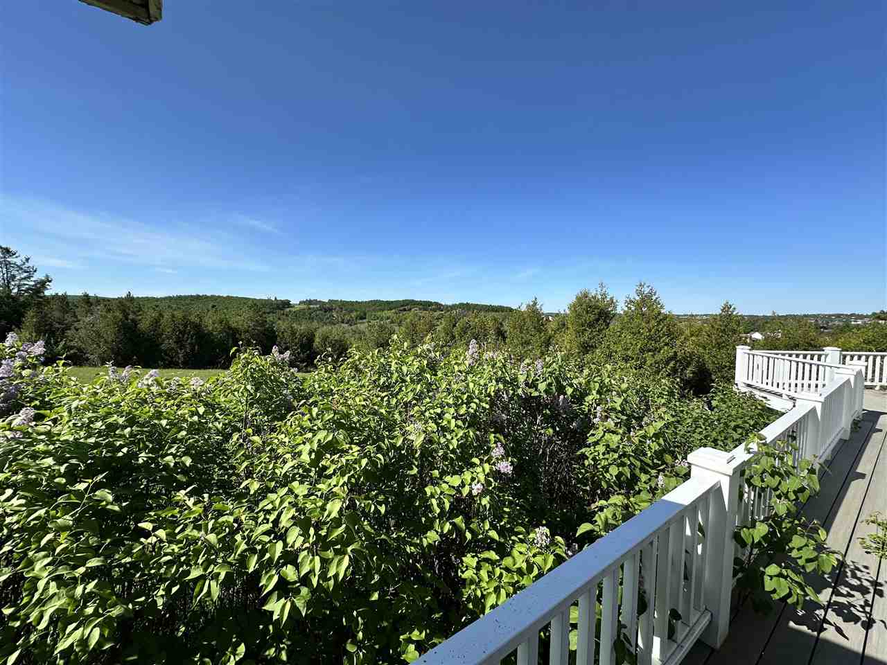 415 Alcan Drive Petoskey MI 49770
