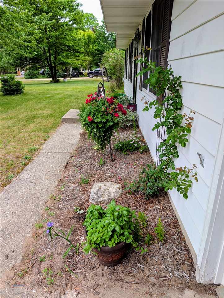 7544 Briar Lane Bellaire MI 49615