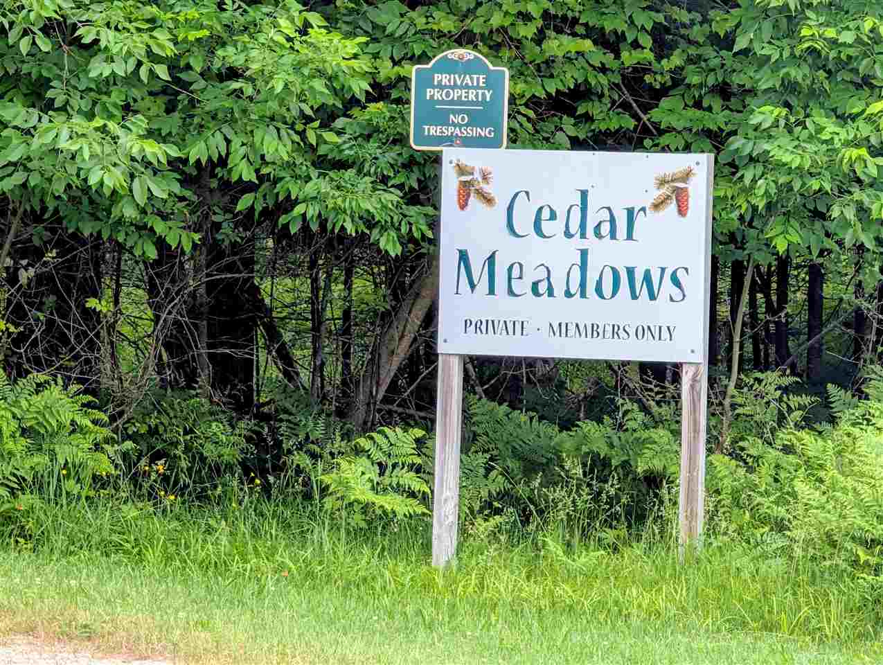 7544 Briar Lane Bellaire MI 49615