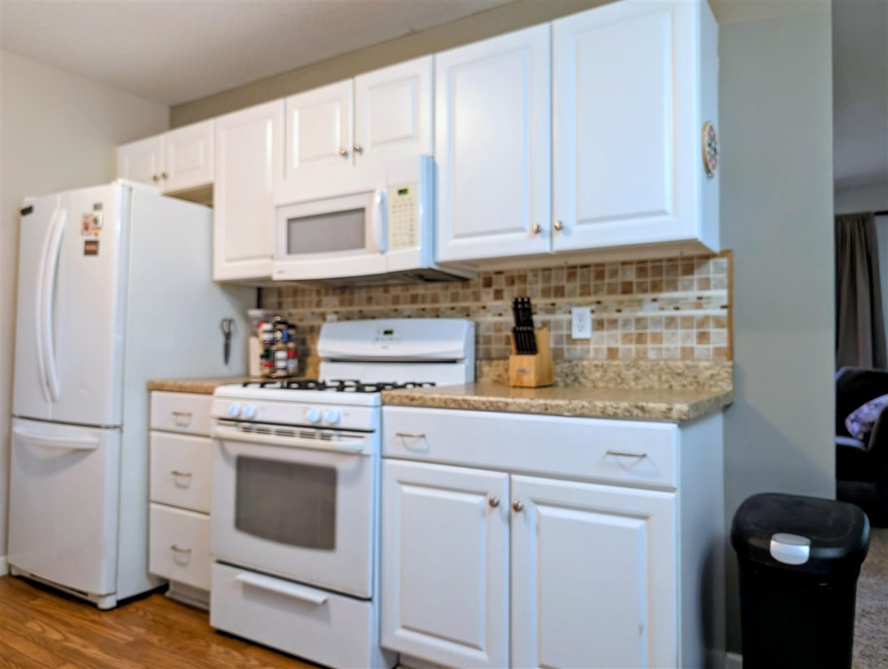 7544 Briar Lane Bellaire MI 49615
