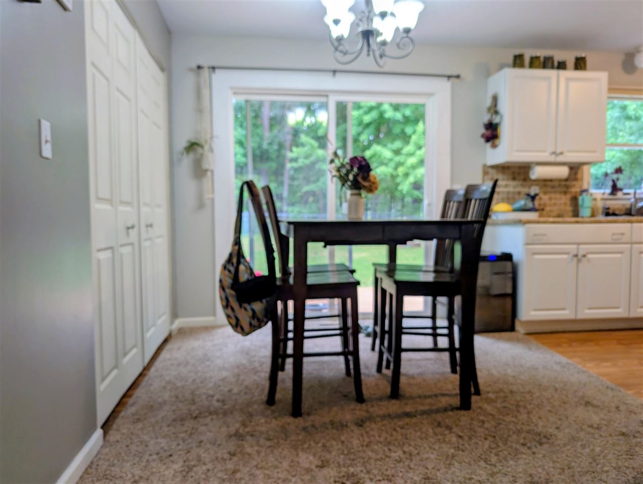 7544 Briar Lane Bellaire MI 49615