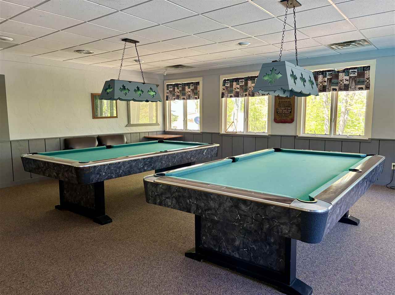 11986 Huntingdon Drive Frederic MI 49733