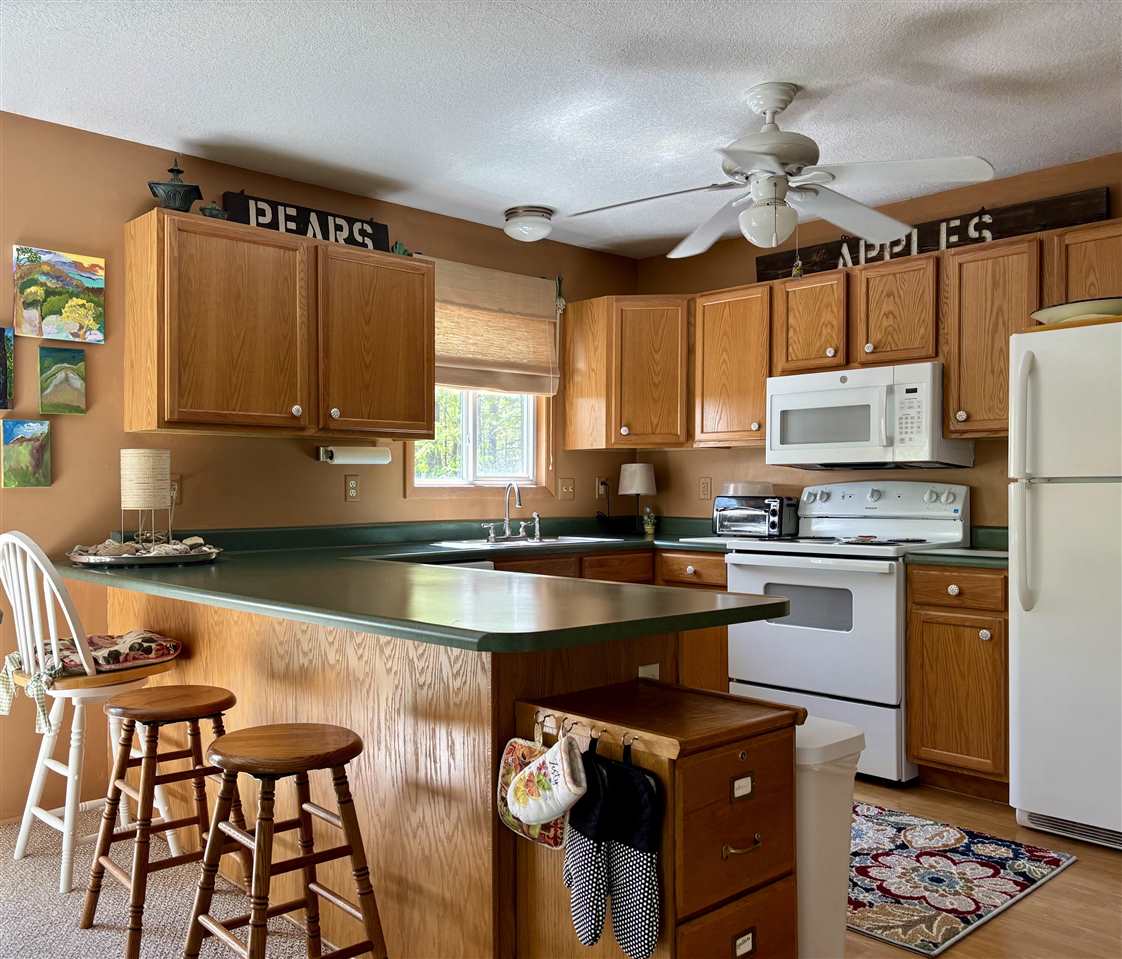 11986 Huntingdon Drive Frederic MI 49733