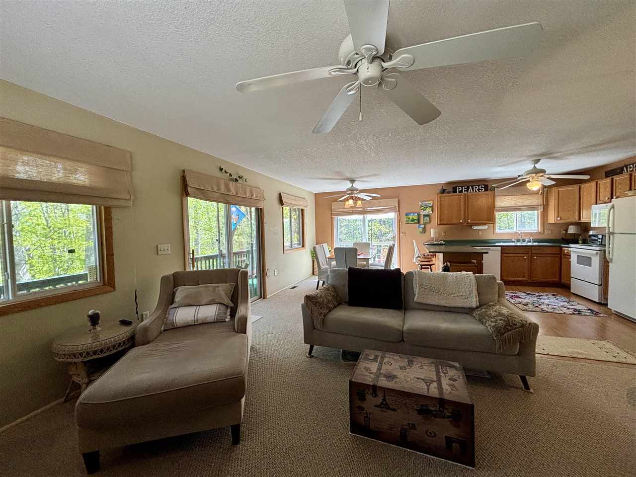 11986 Huntingdon Drive Frederic MI 49733
