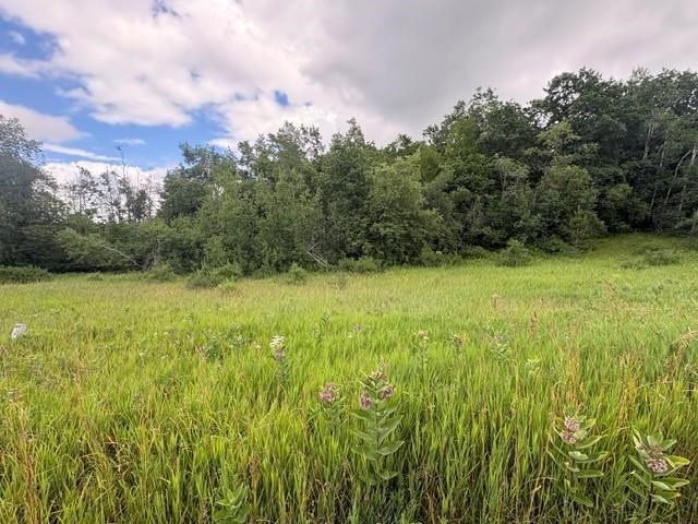 2876 Greenbriar Harbor Springs MI 49740