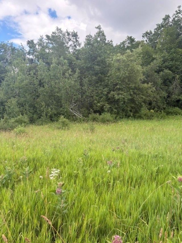 2876 Greenbriar Harbor Springs MI 49740