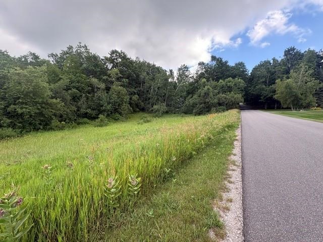 2876 Greenbriar Harbor Springs MI 49740