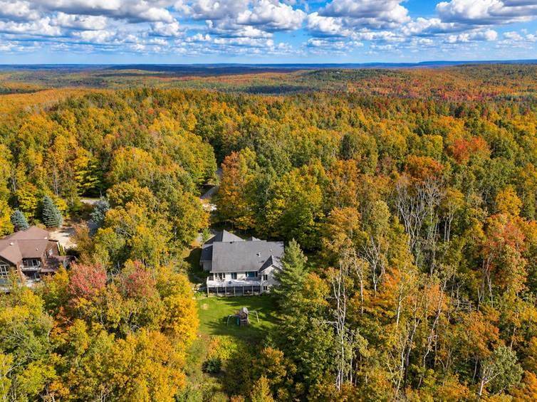 6802 Mt Vernon Hills Drive Vanderbilt MI 49795