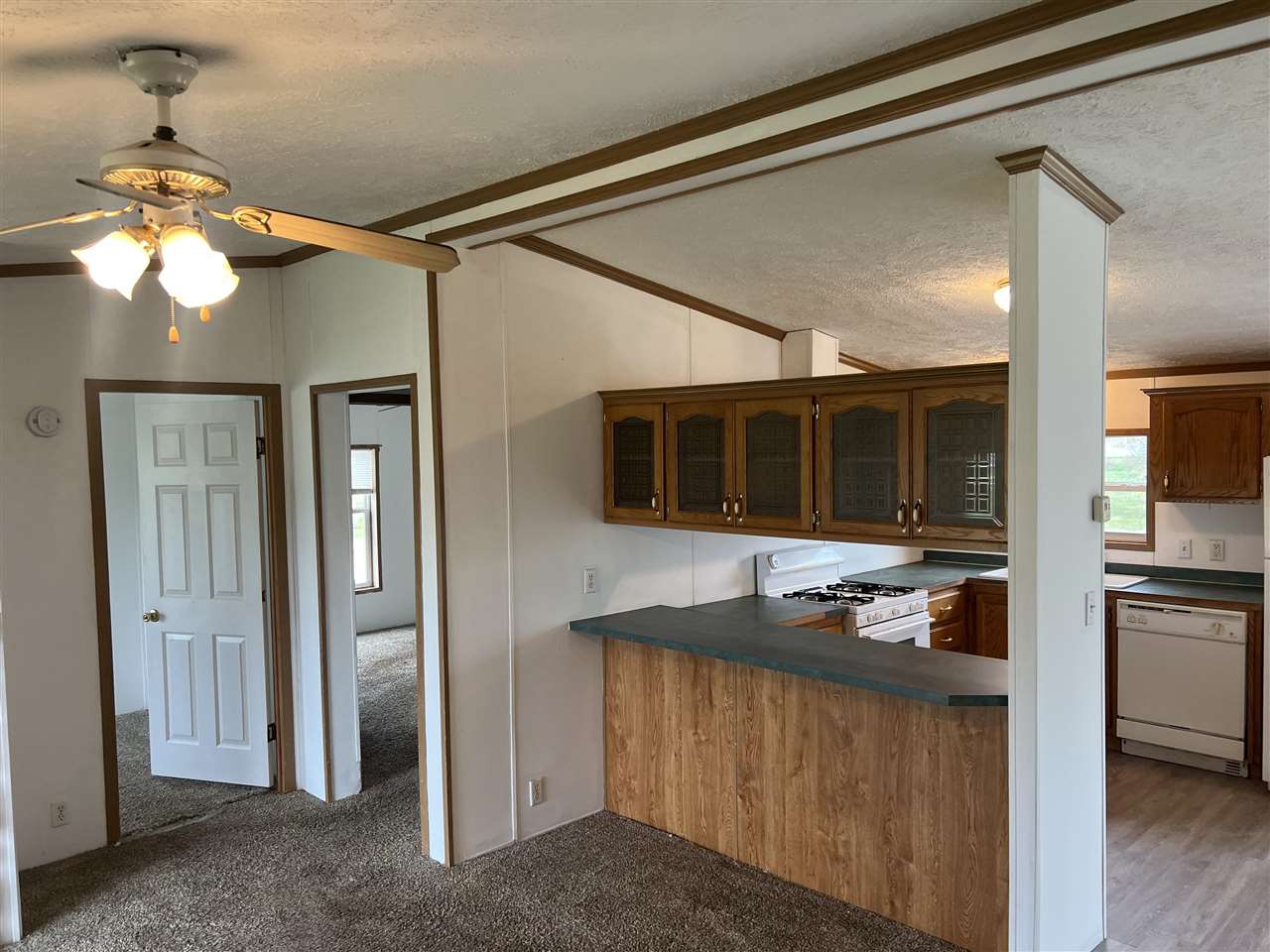 6615 Mill Street Pellston MI 49769