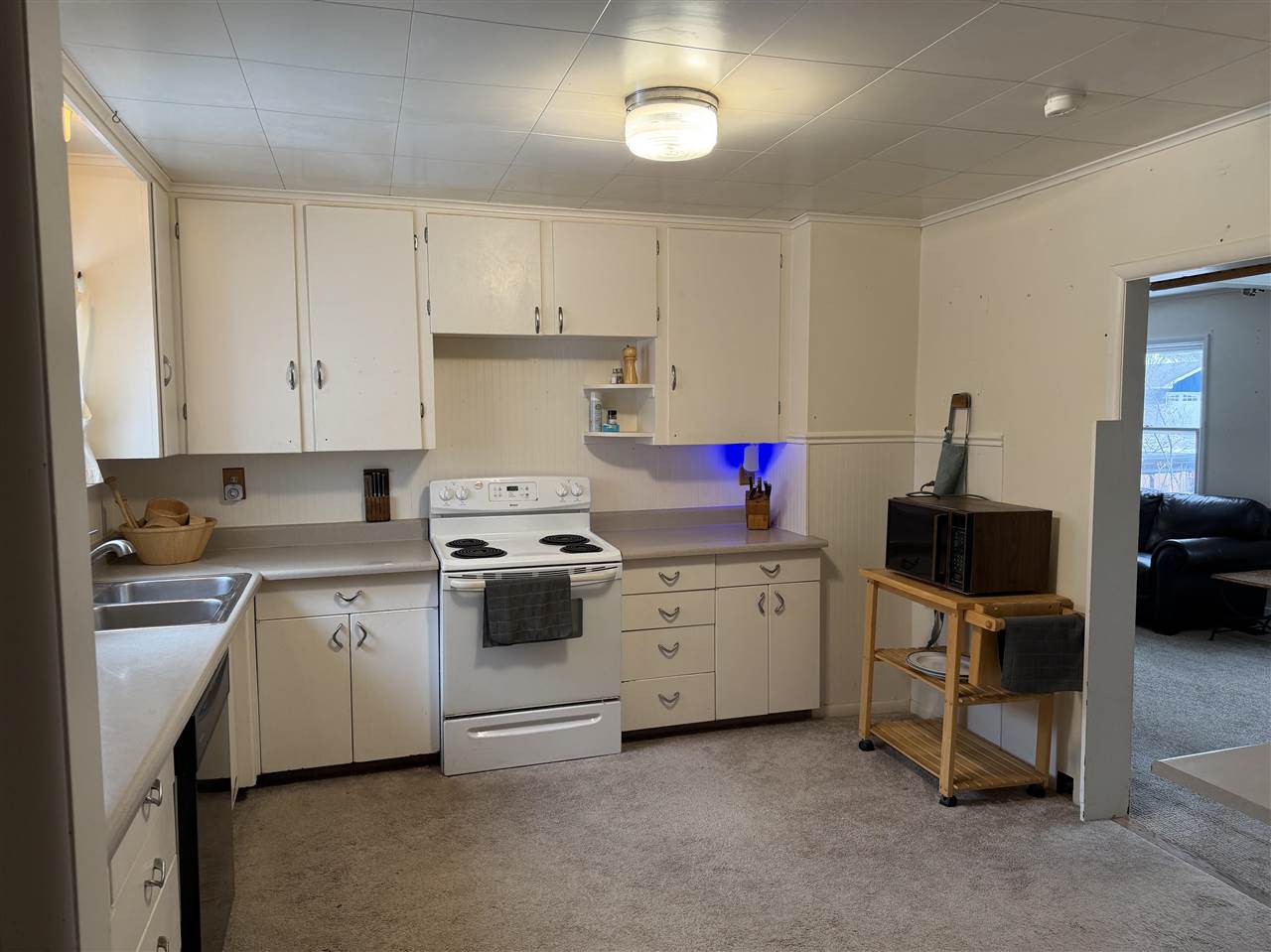 114 E Hurlbut Avenue Charlevoix MI 49720