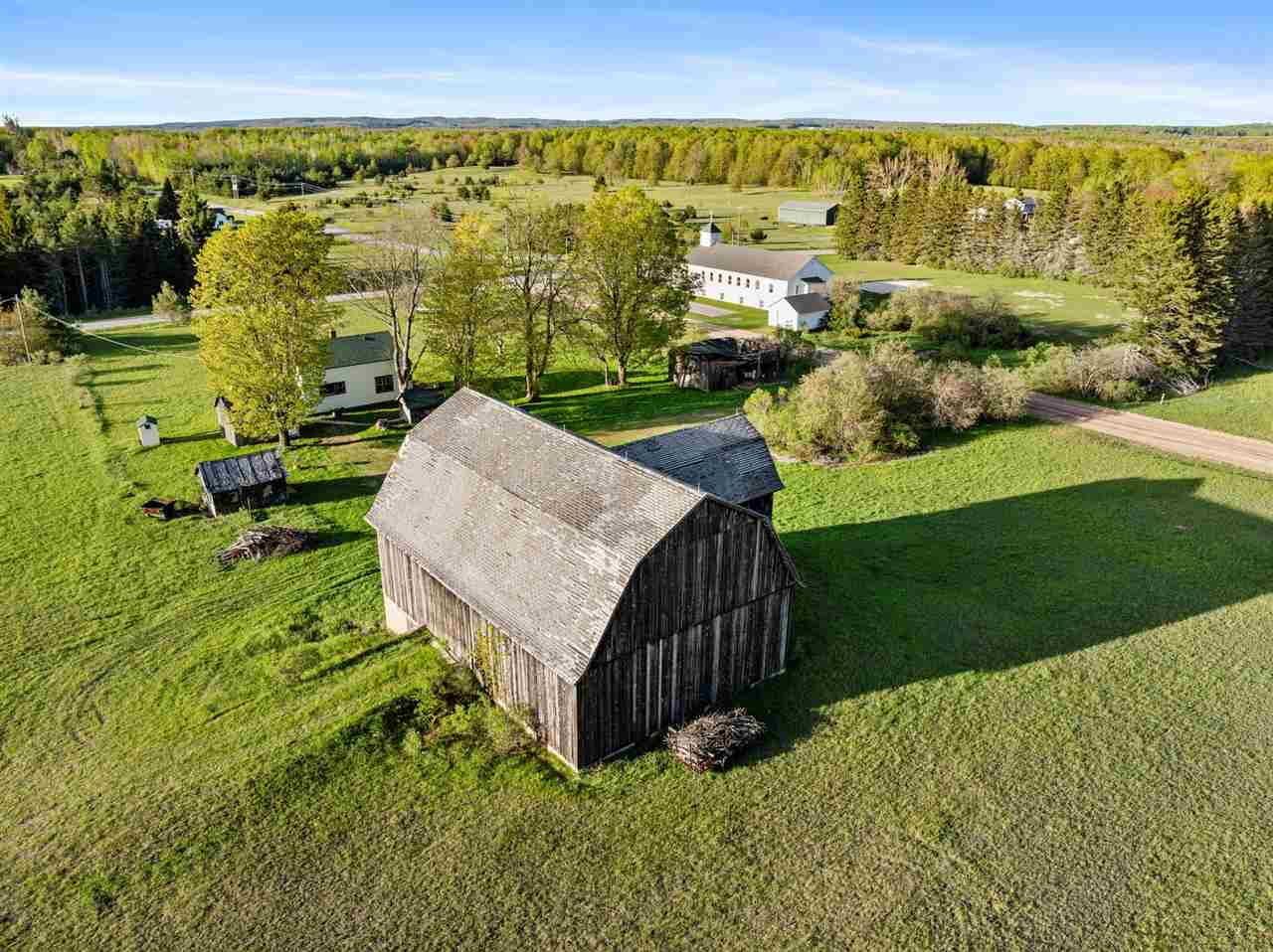3965 Saint Nicholas Road Pellston MI 49769