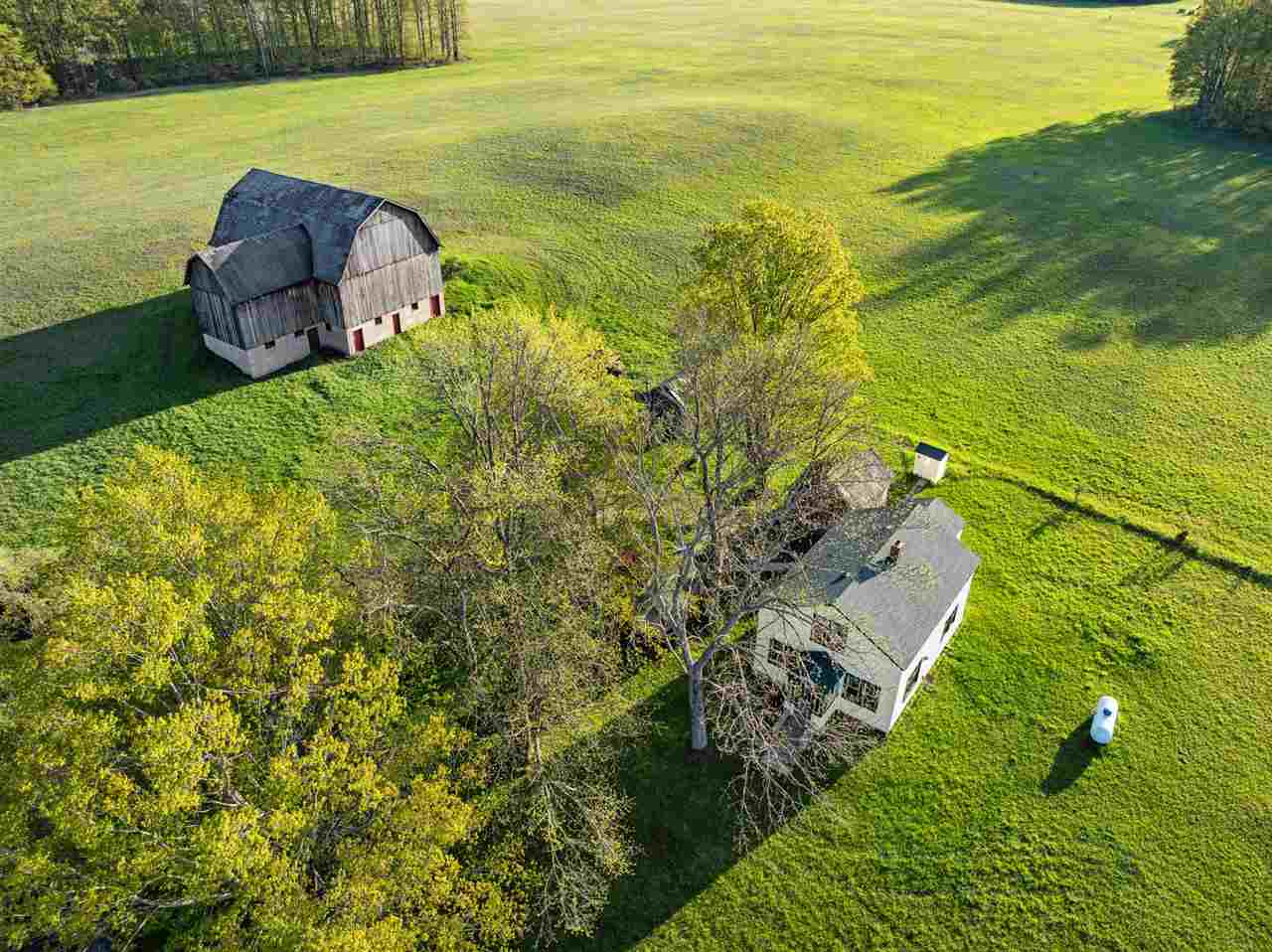 3965 Saint Nicholas Road Pellston MI 49769