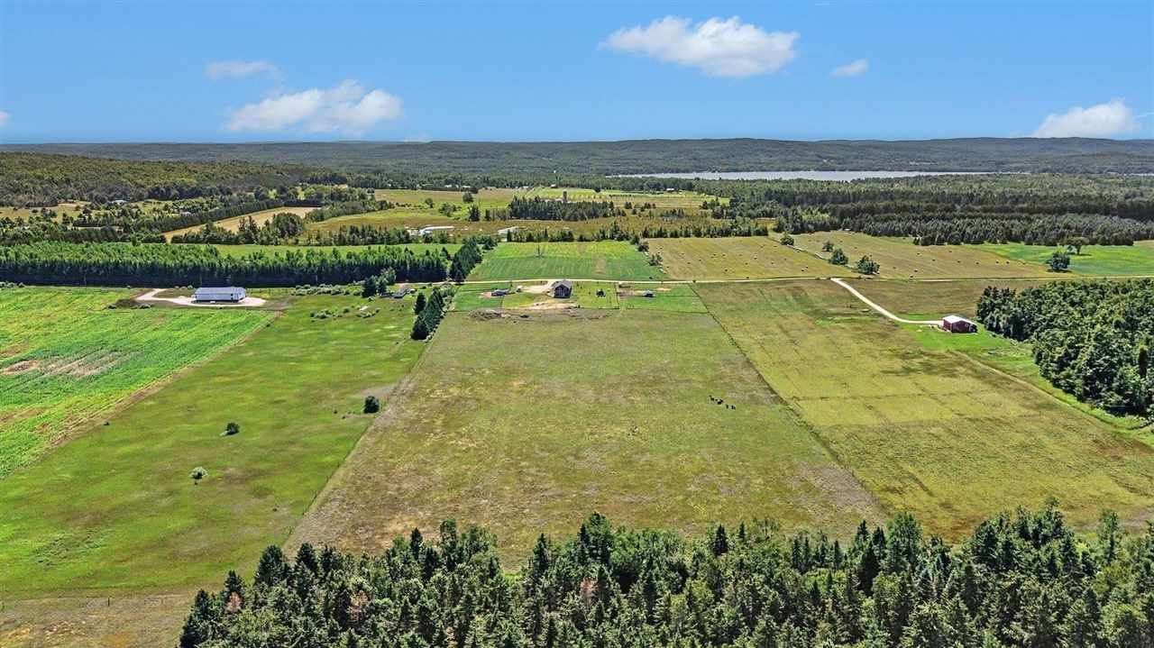 8445 Haines Road Alanson MI 49706