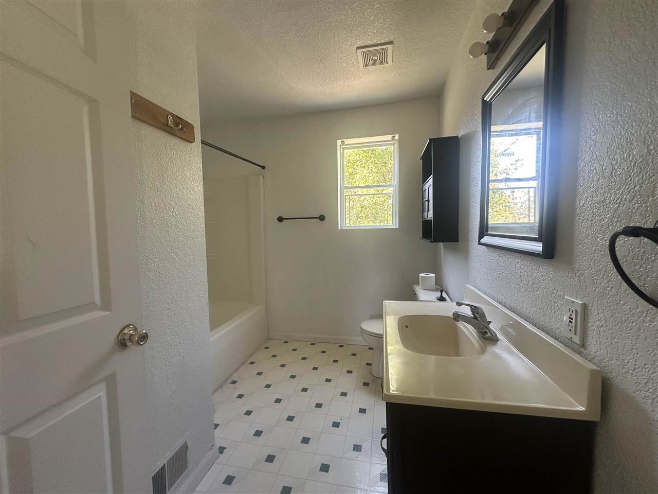 8843 Blumke Road Alanson MI 49706