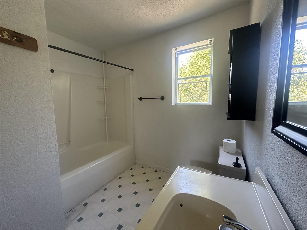 8843 Blumke Road Alanson MI 49706