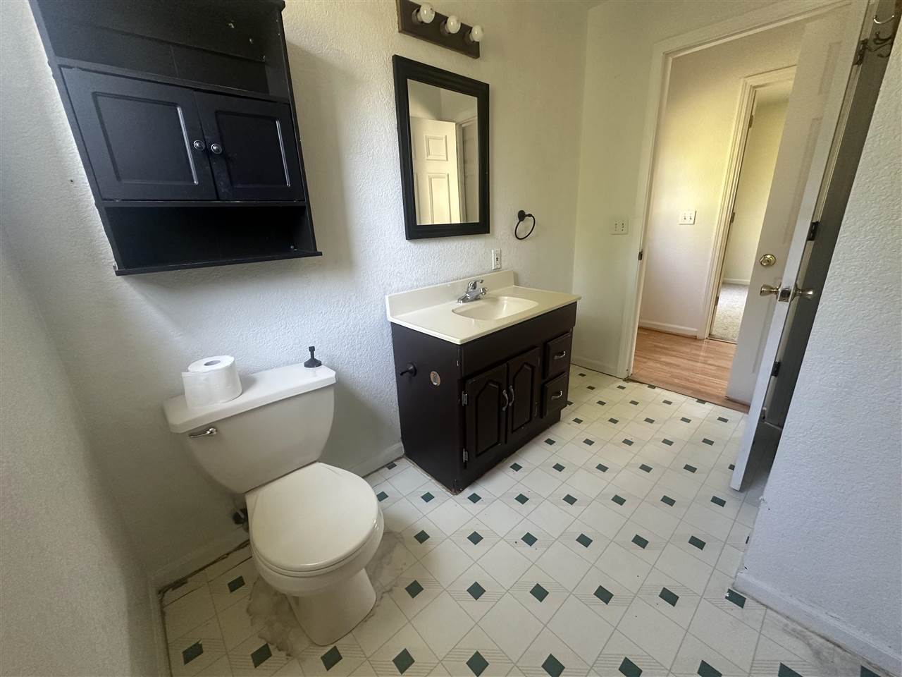 8843 Blumke Road Alanson MI 49706