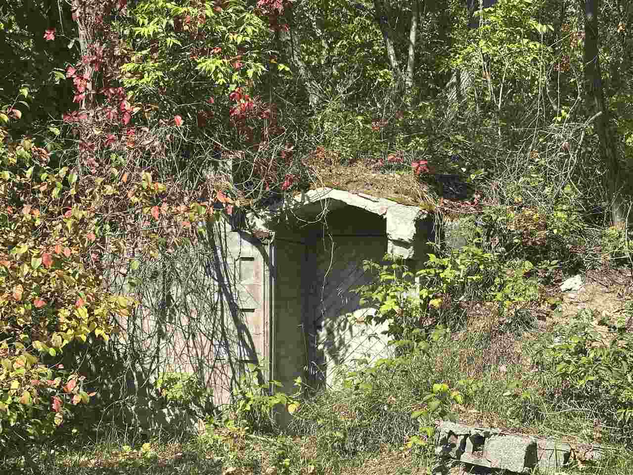 8843 Blumke Road Alanson MI 49706