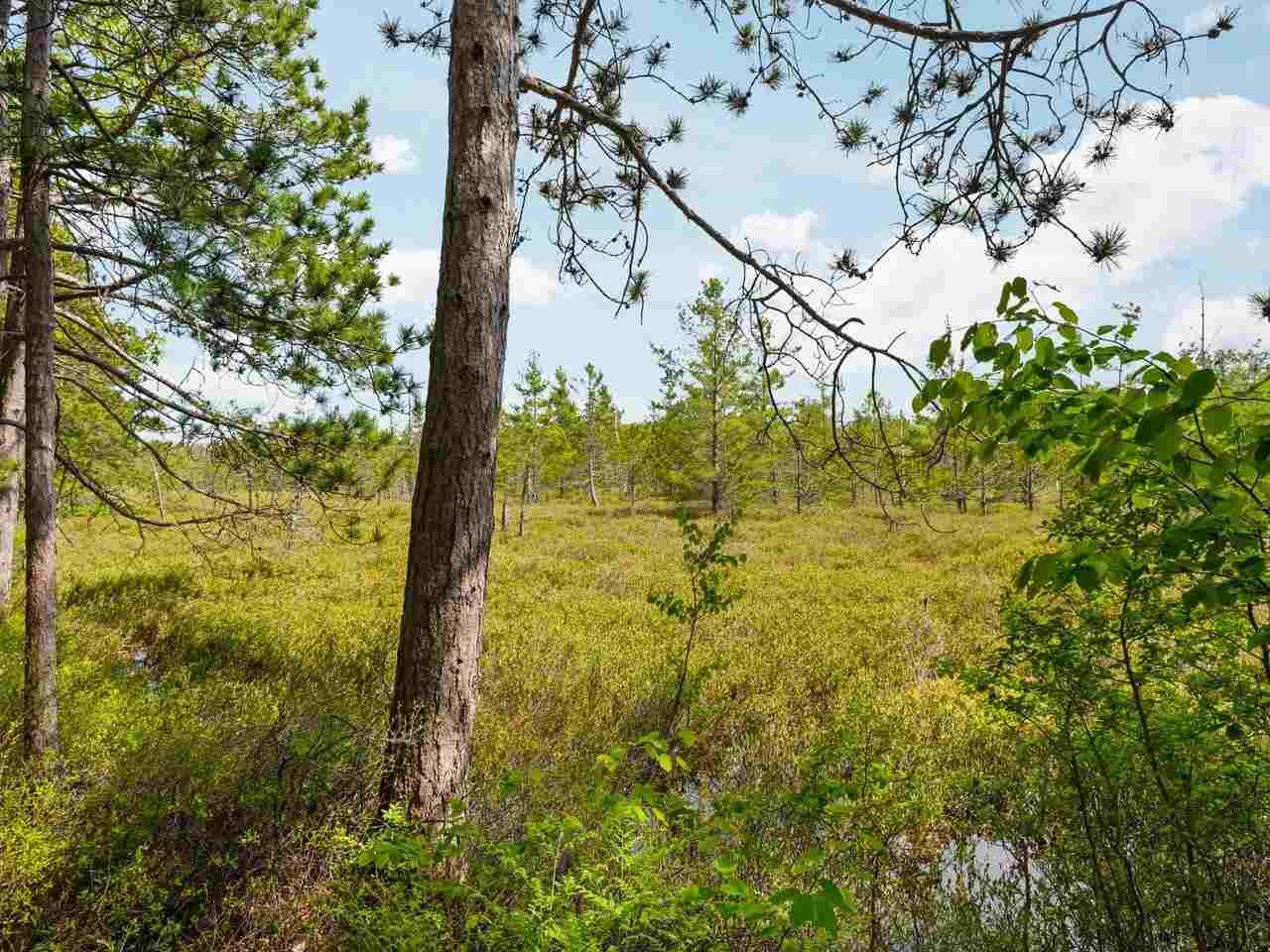 28525 Fox Pointe Trail Beaver Island MI 49782