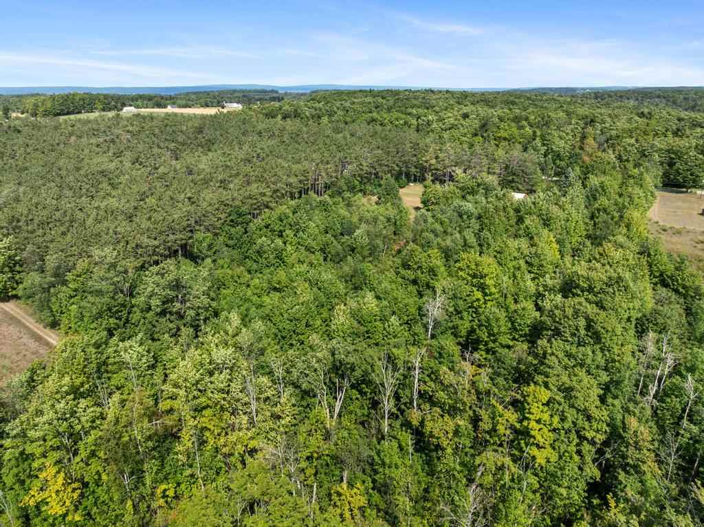 9601 Maple Grove Road Charlevoix MI 49720