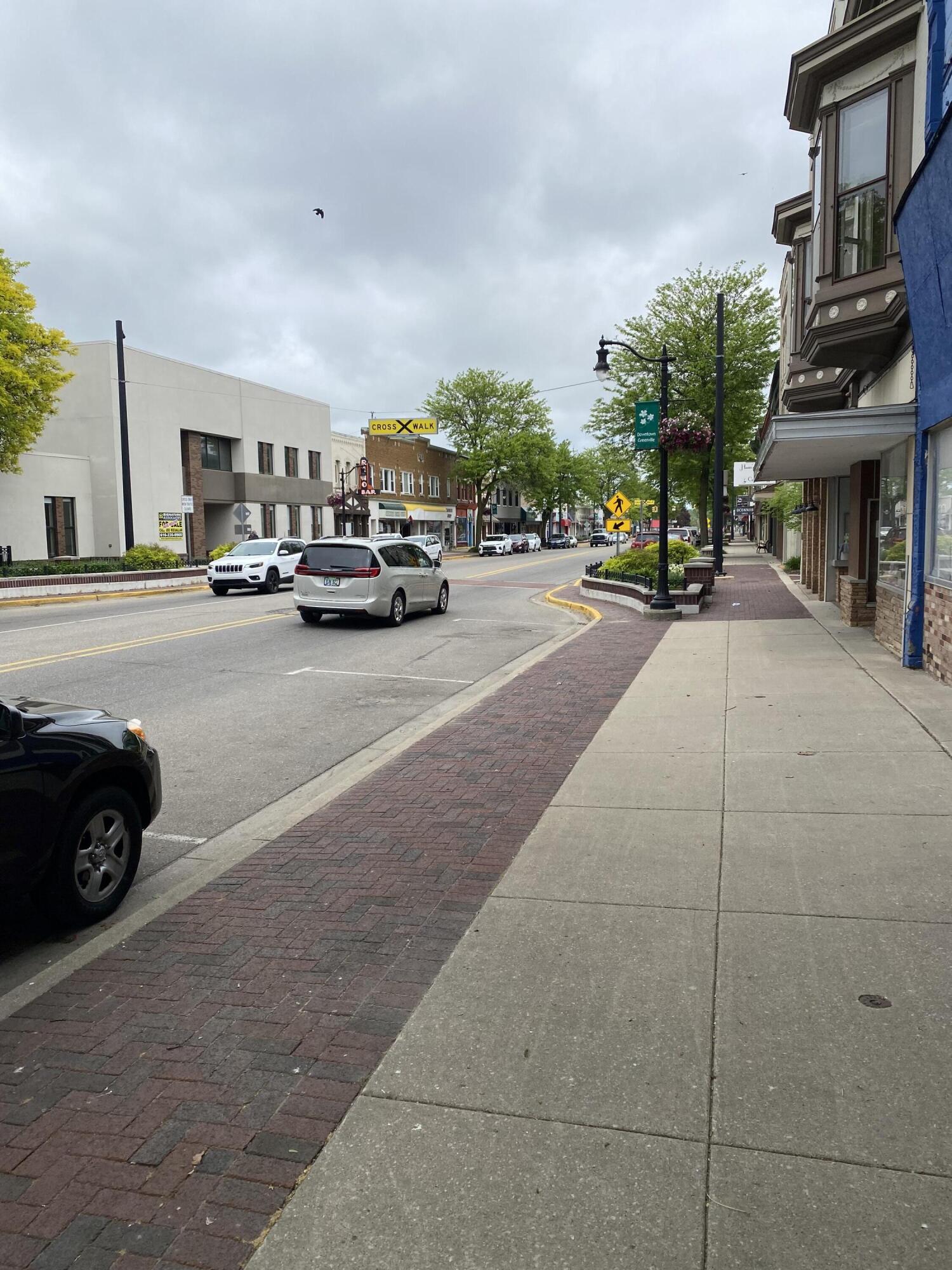 217 S Lafayette Street Greenville City MI 48838