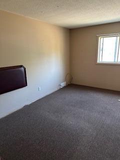 114 W Union City Road Union Township MI 49094