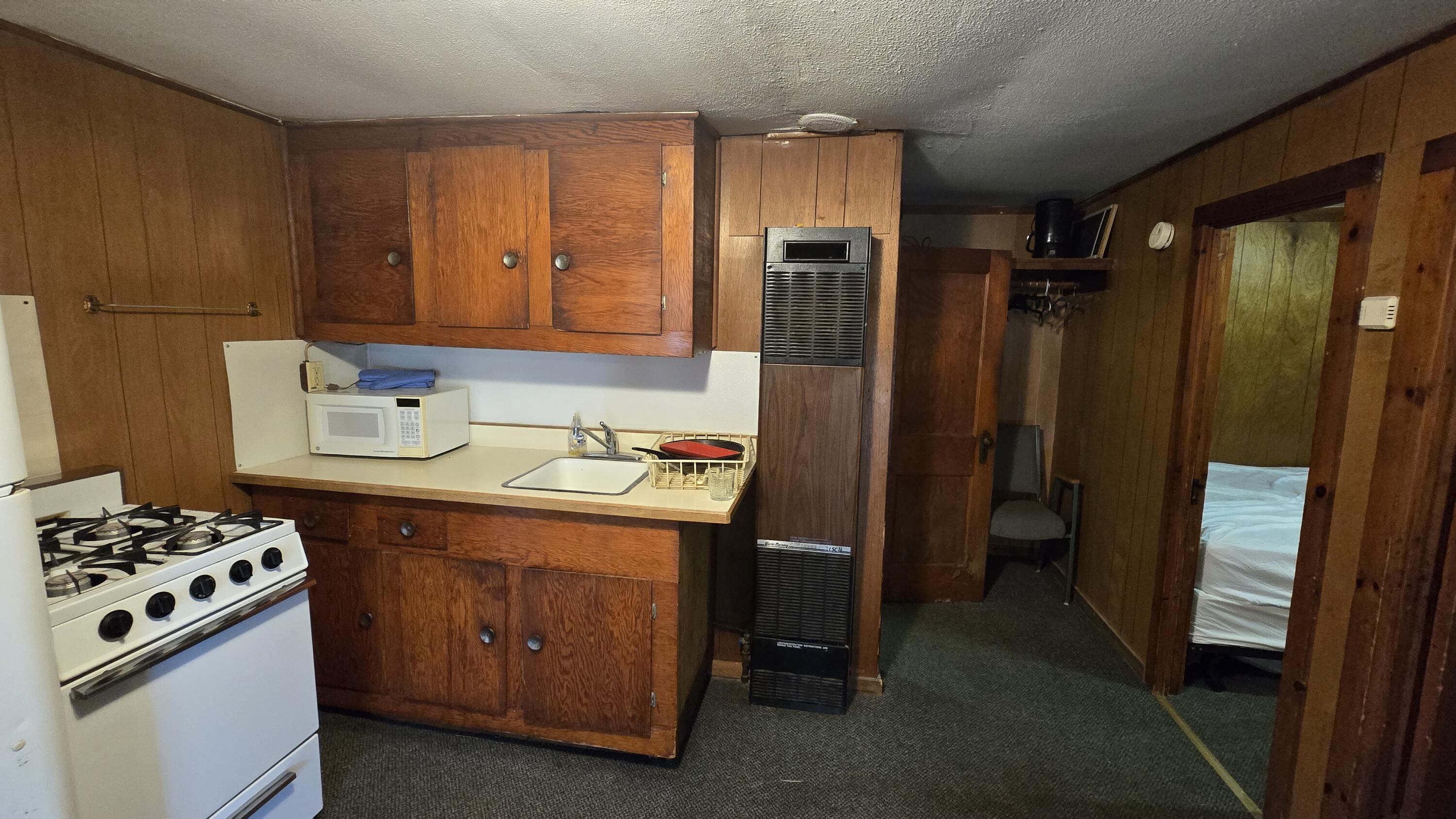 13544 Caberfae Highway Norman Township MI 49689