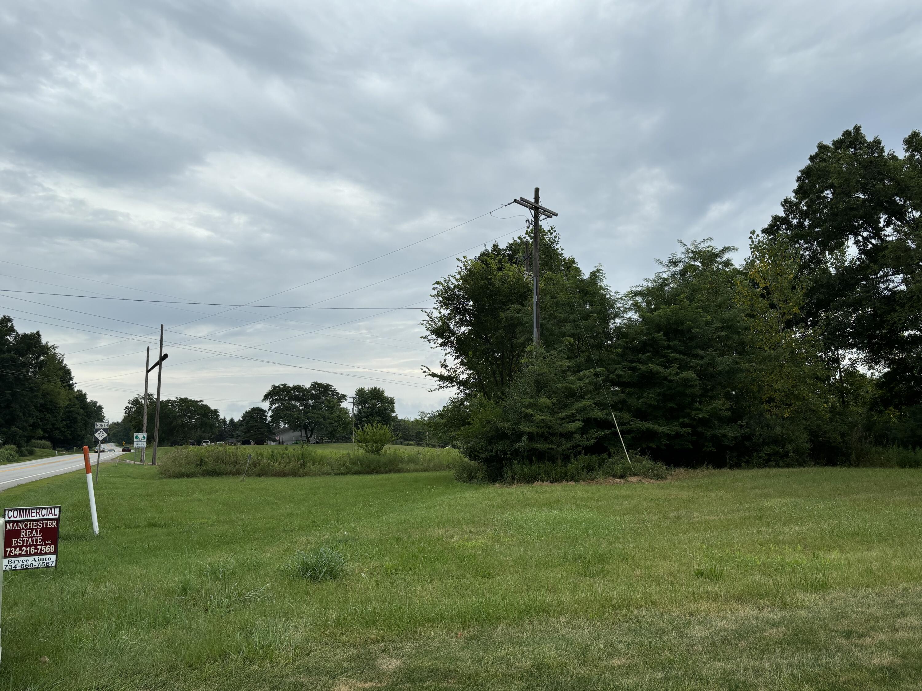 0 M-52 Manchester Township MI 48158
