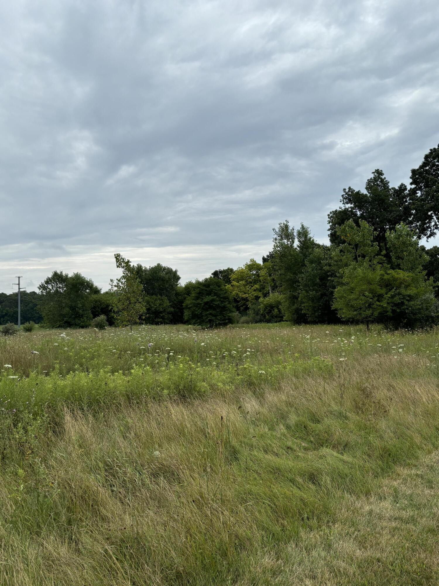 0 M-52 Manchester Township MI 48158