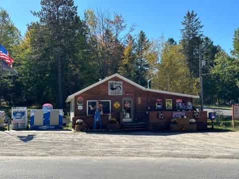 11380 Starvation Lake Road NE Blue Lake Township MI 49659