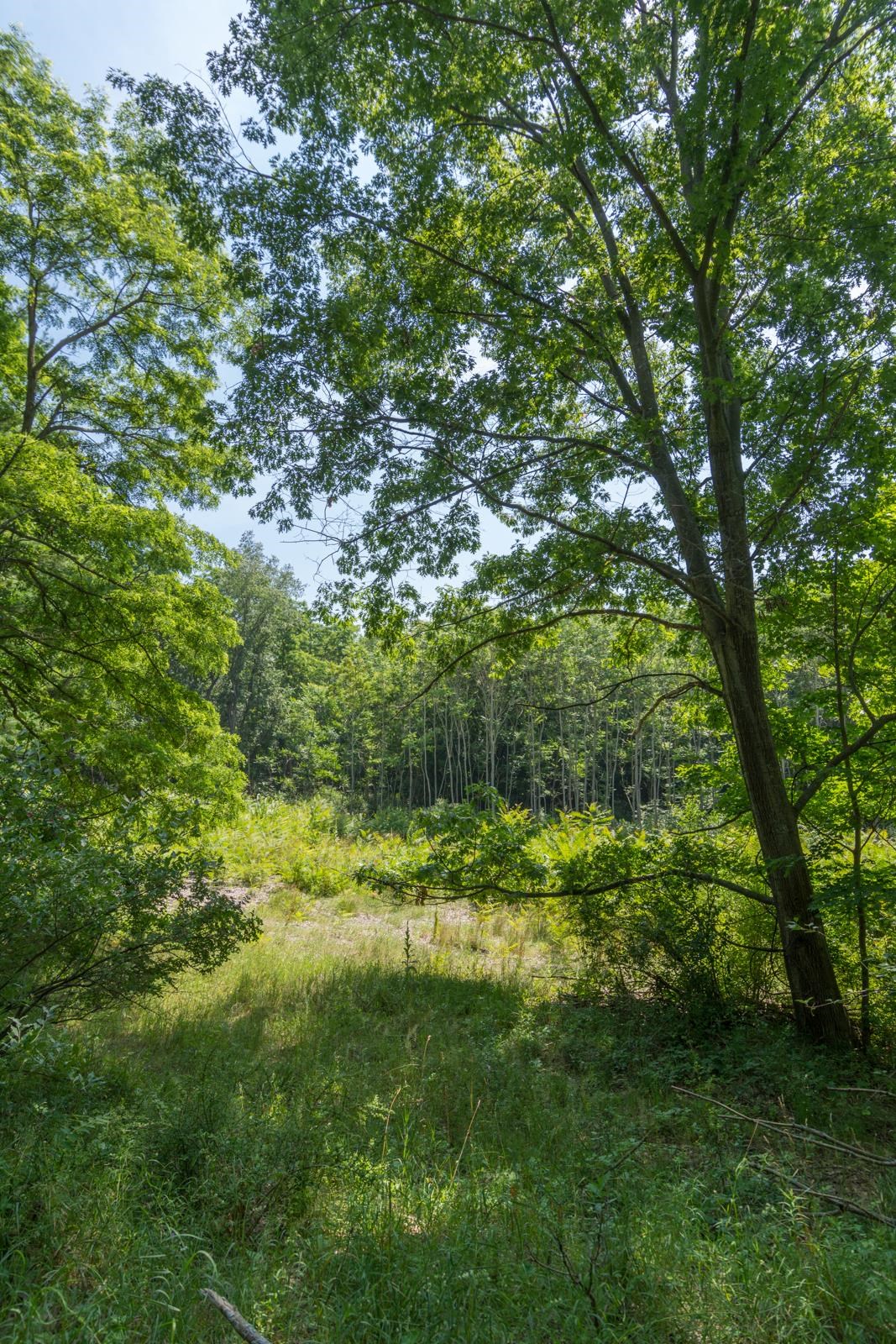 7345 W Glenmere Road Empire Township MI 49630