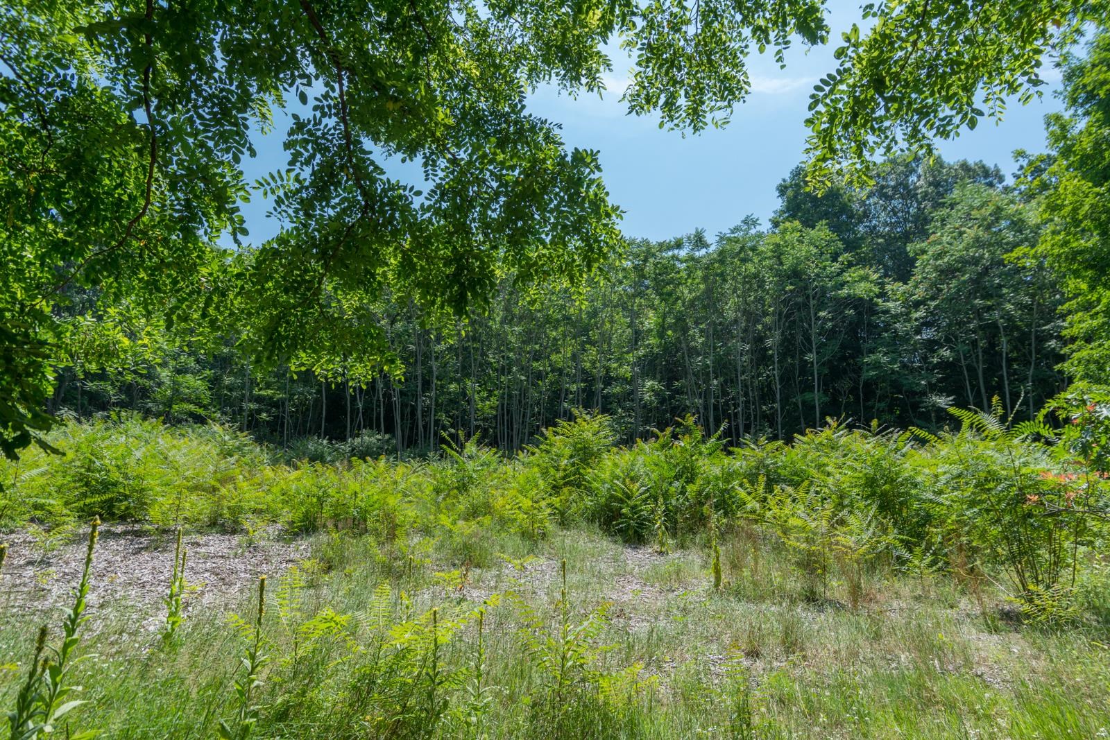 7345 W Glenmere Road Empire Township MI 49630
