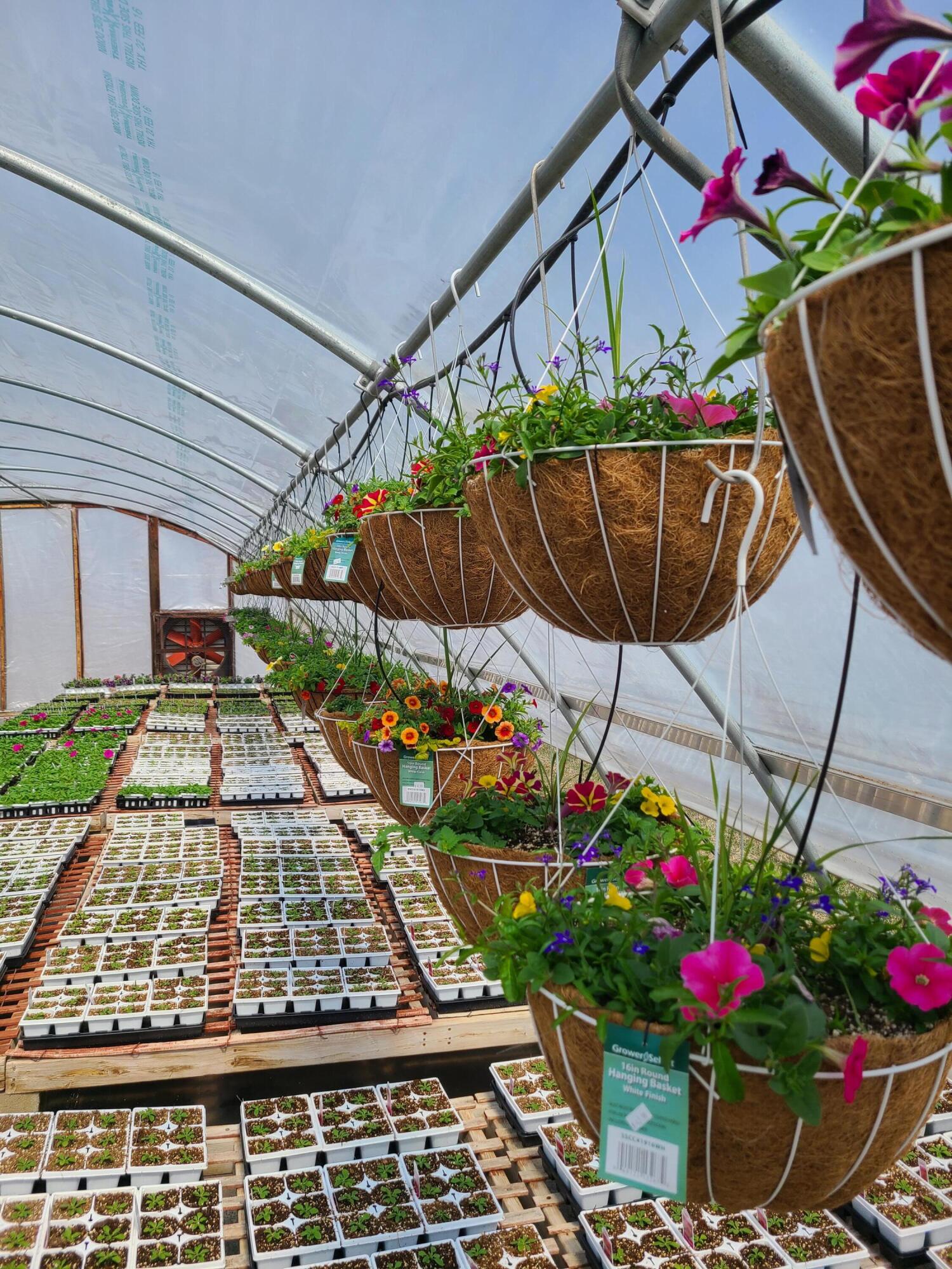 645 S Meridian Road Hudson Township MI 49247