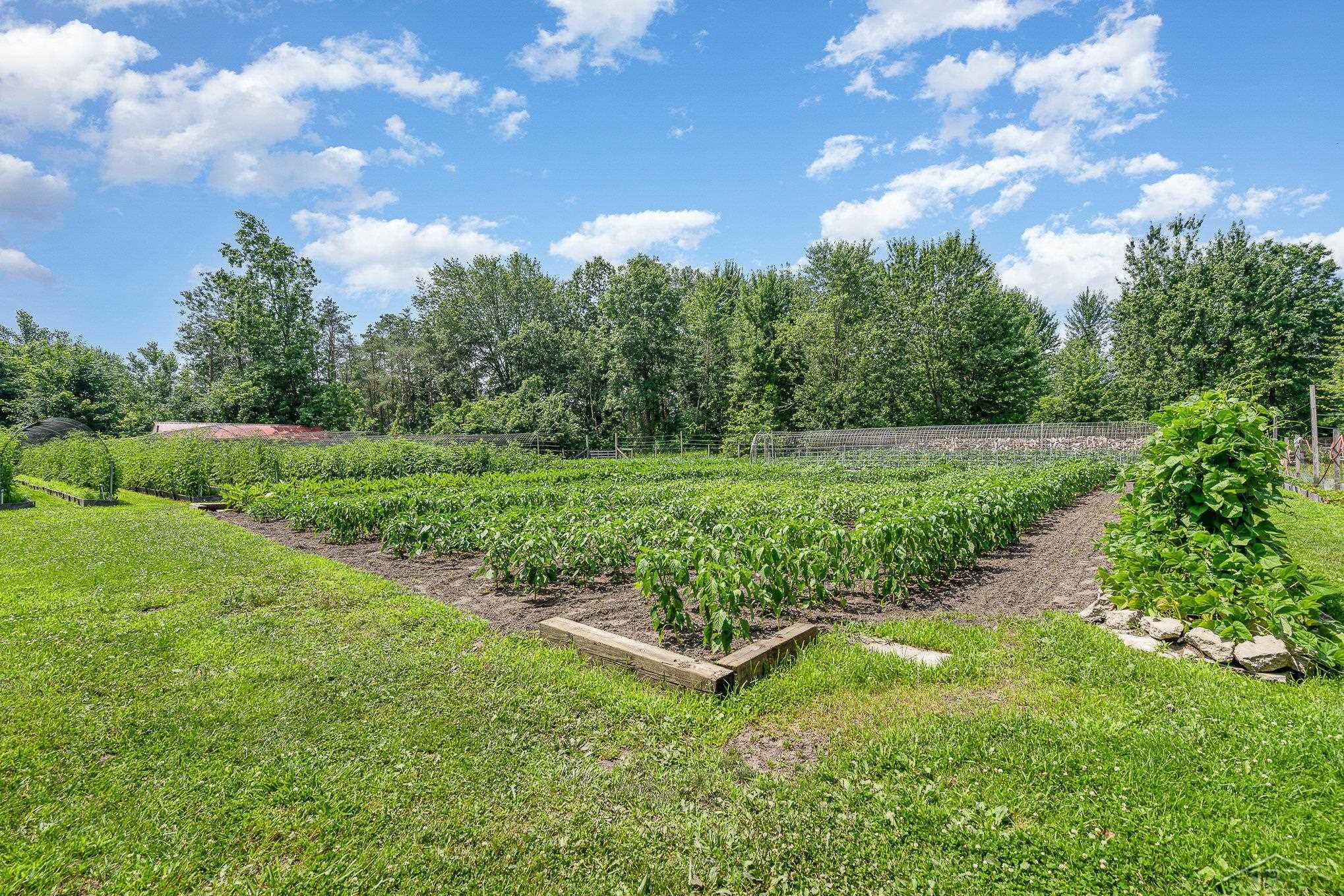 13105 Gratiot Road Richland Township MI 48626