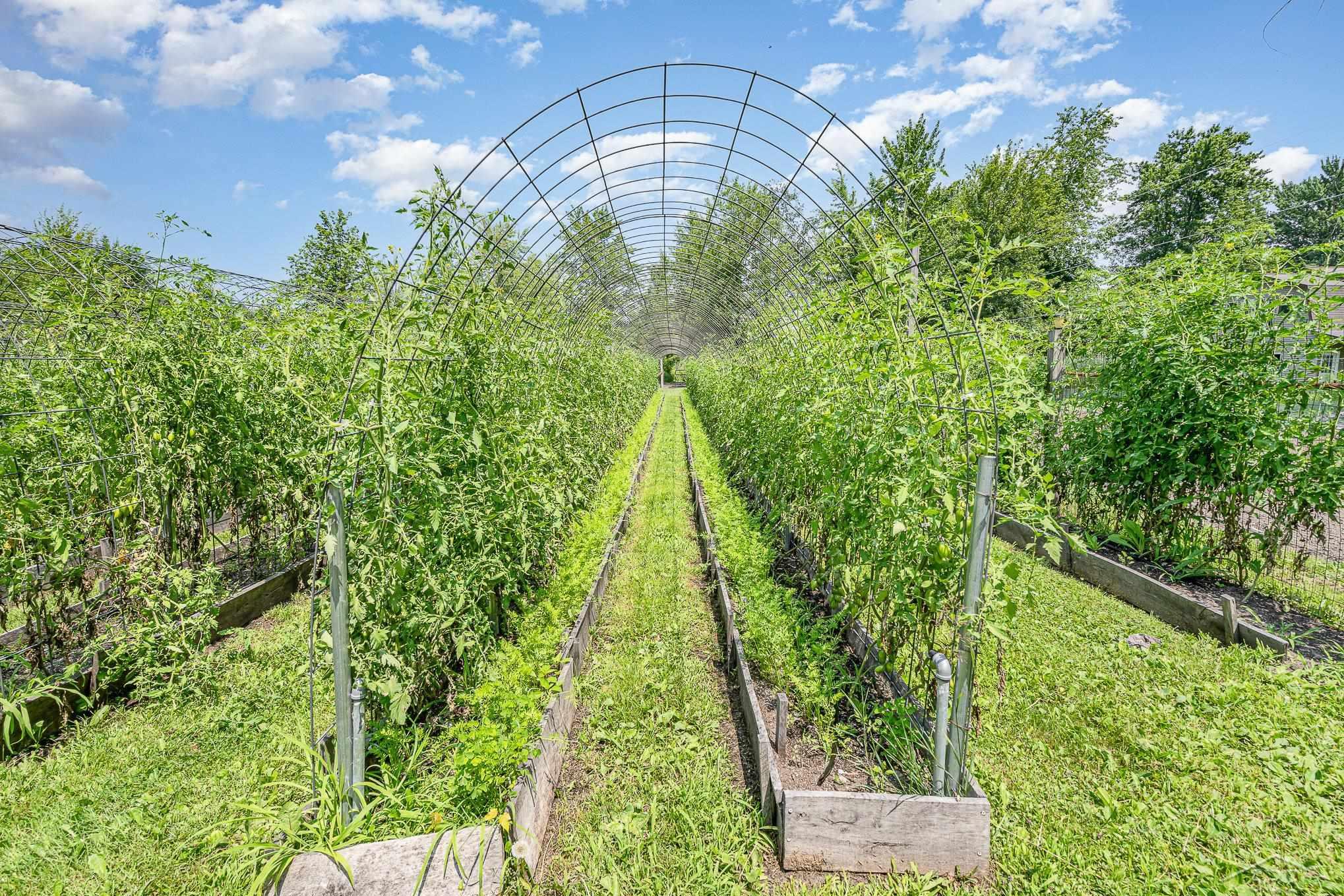 13105 Gratiot Road Richland Township MI 48626