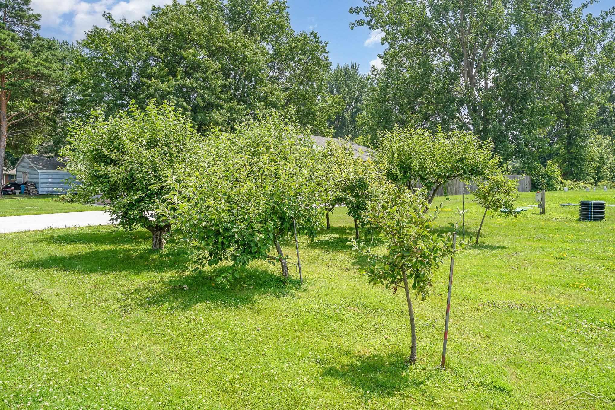 13105 Gratiot Road Richland Township MI 48626