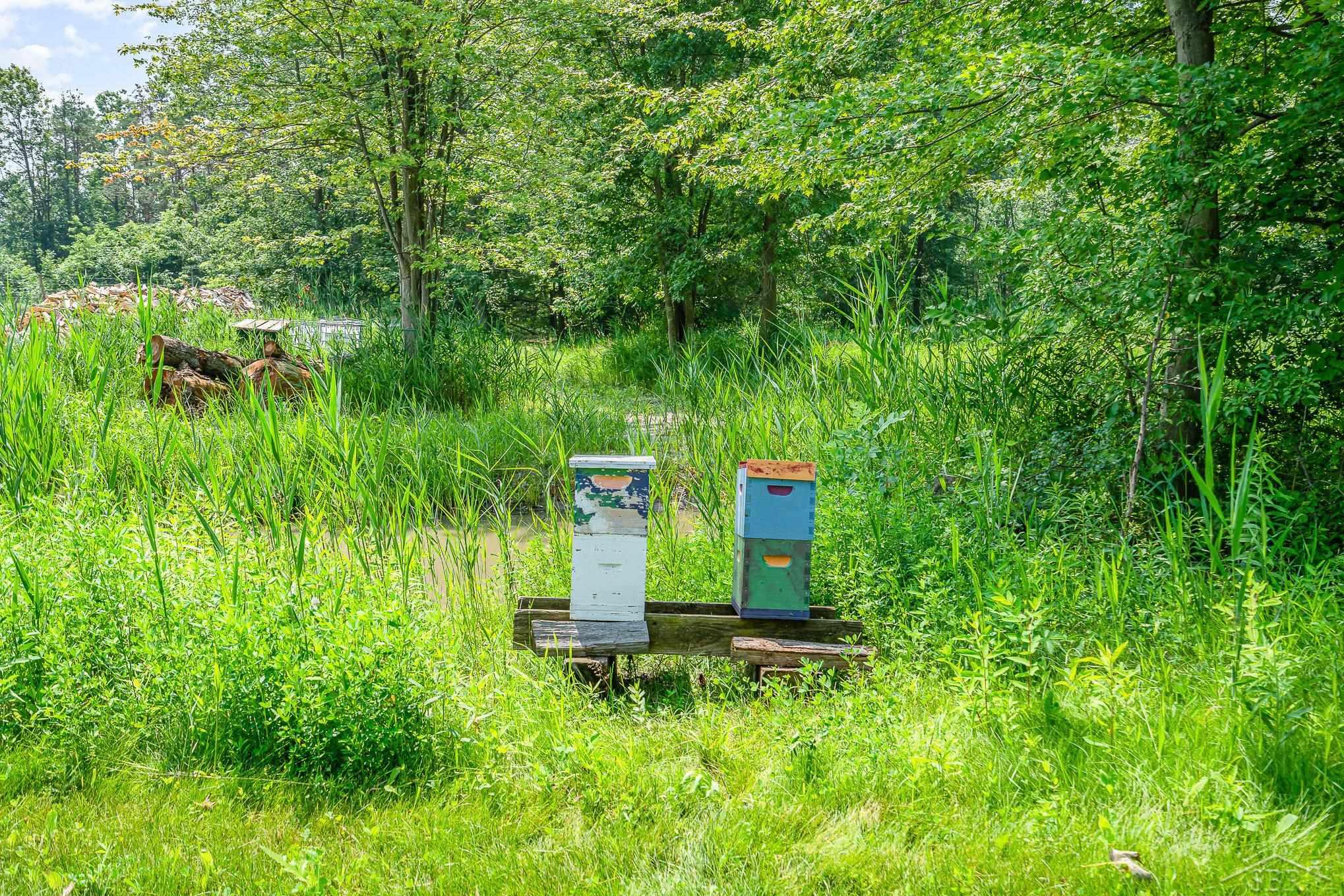 13105 Gratiot Road Richland Township MI 48626