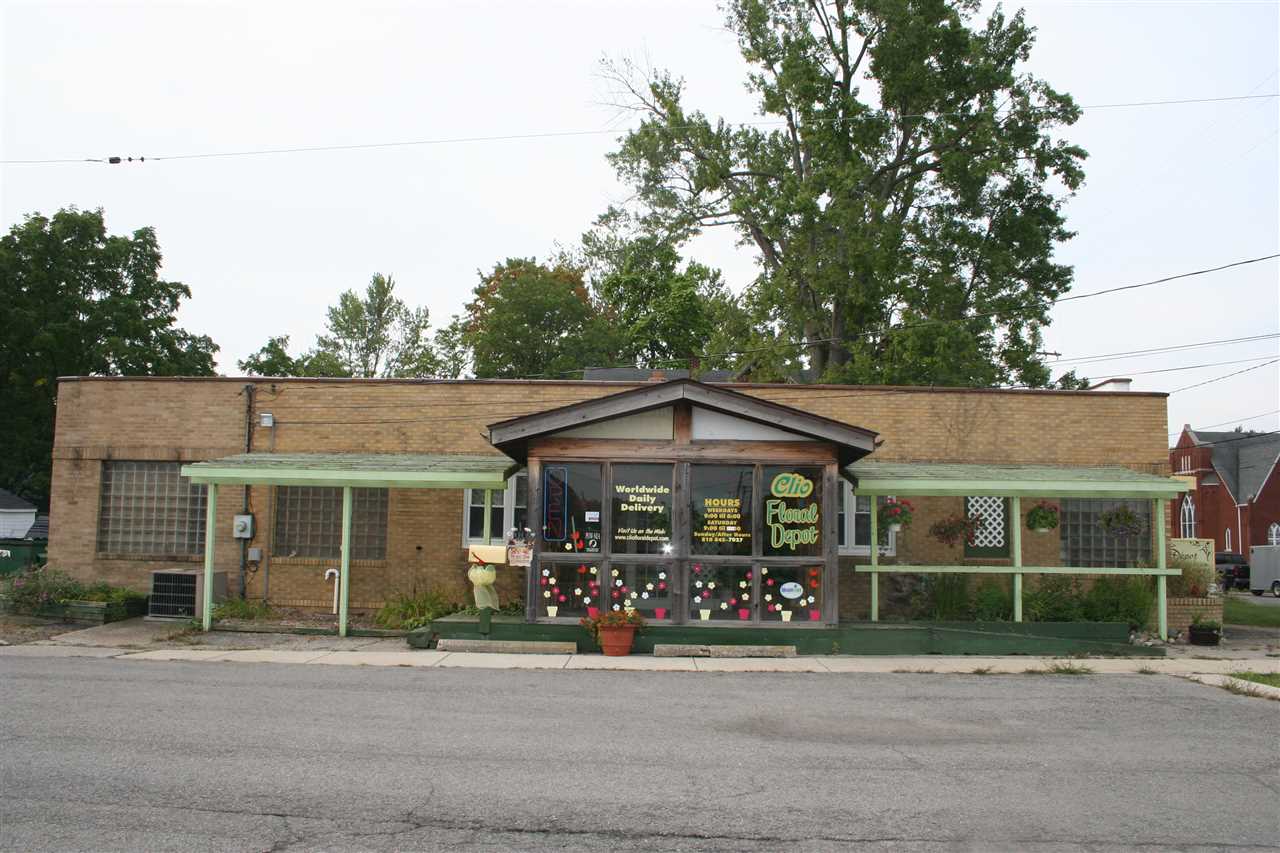 201 S Mill Street Clio City MI 48420