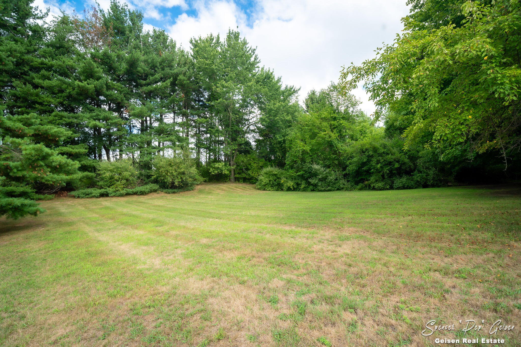 10606 W Carson City Road Eureka Township MI 48838