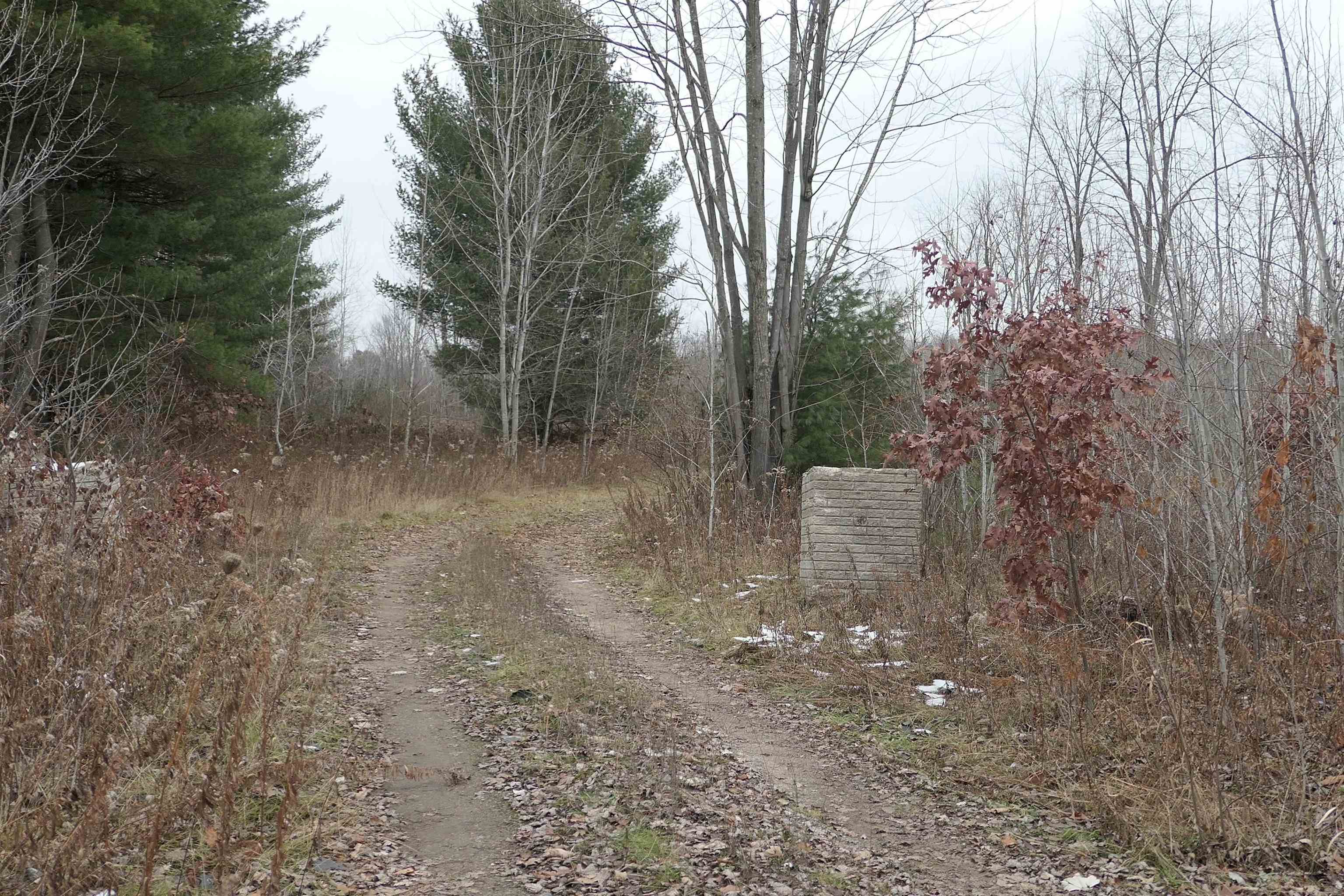 Tbd E Pickard Road Chippewa Township MI 48858