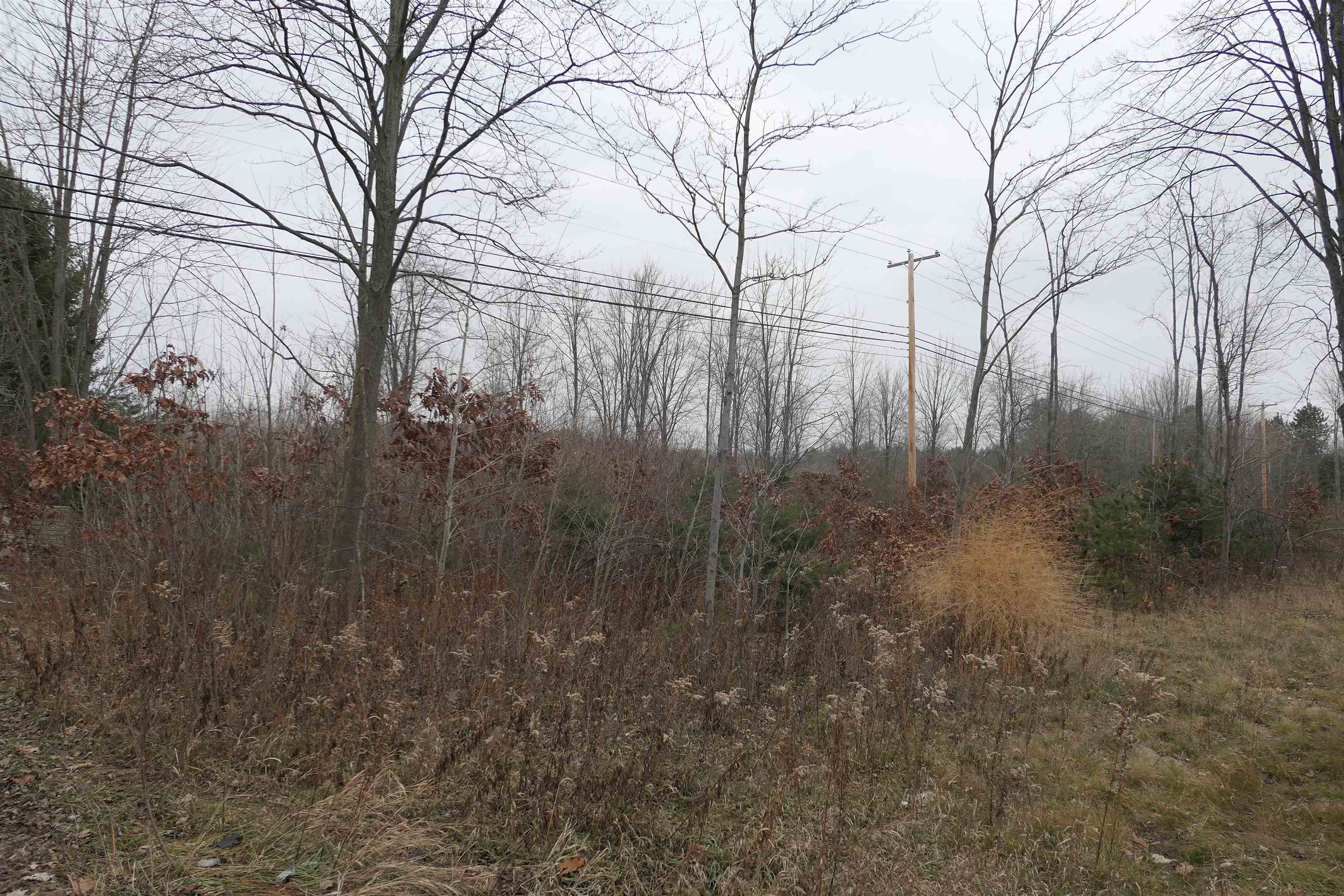 Tbd E Pickard Road Chippewa Township MI 48858