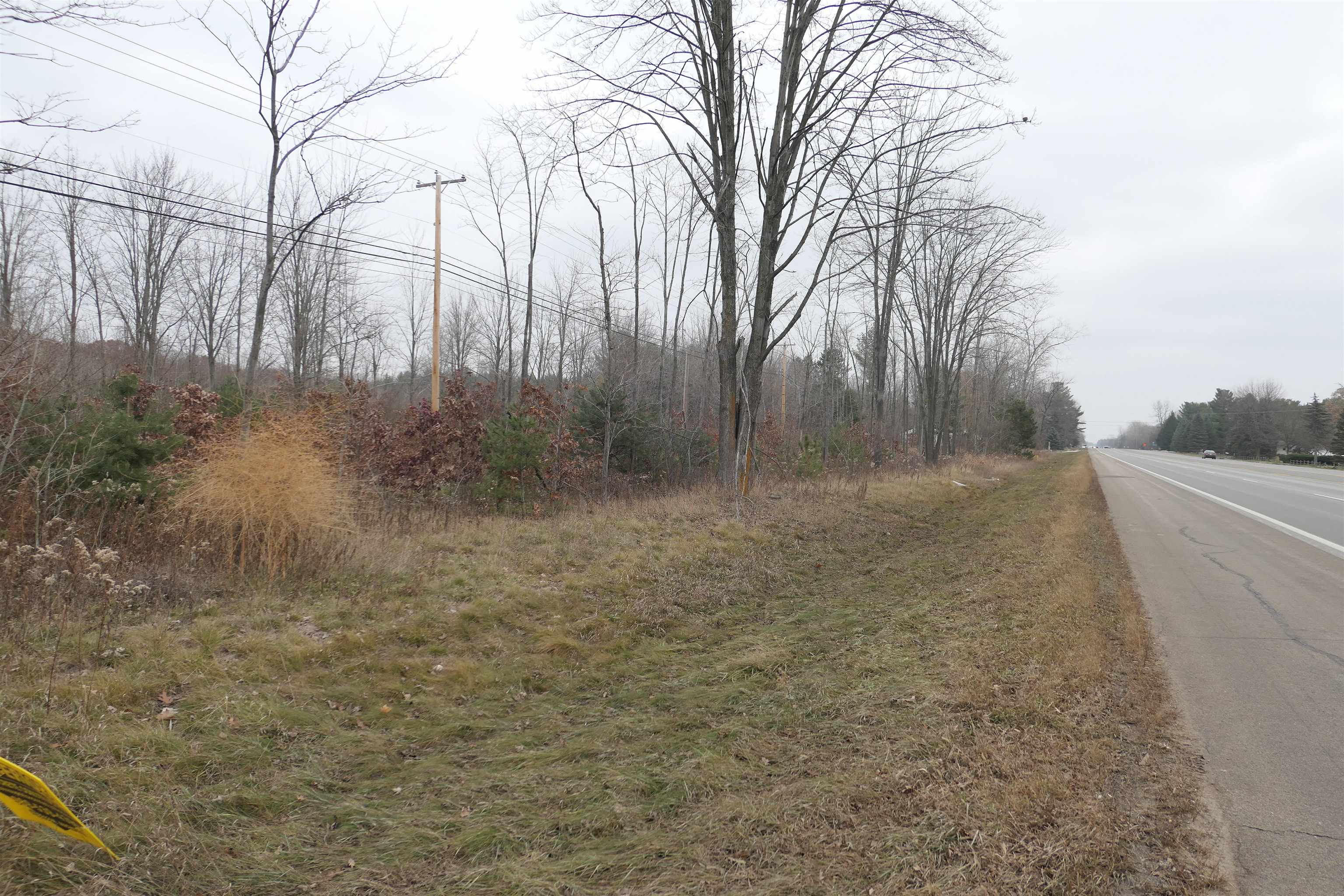 Tbd E Pickard Road Chippewa Township MI 48858