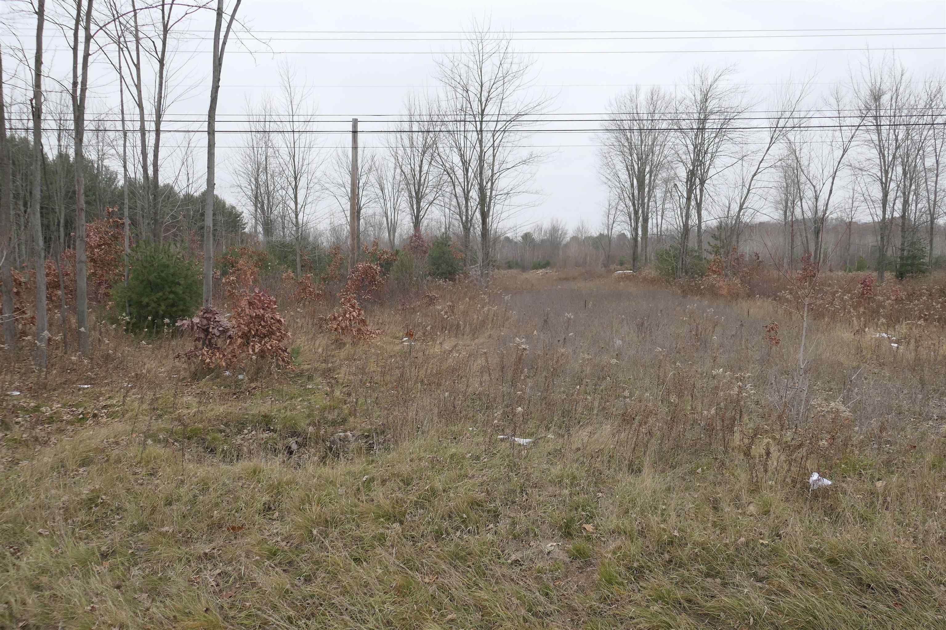 Tbd E Pickard Road Chippewa Township MI 48858