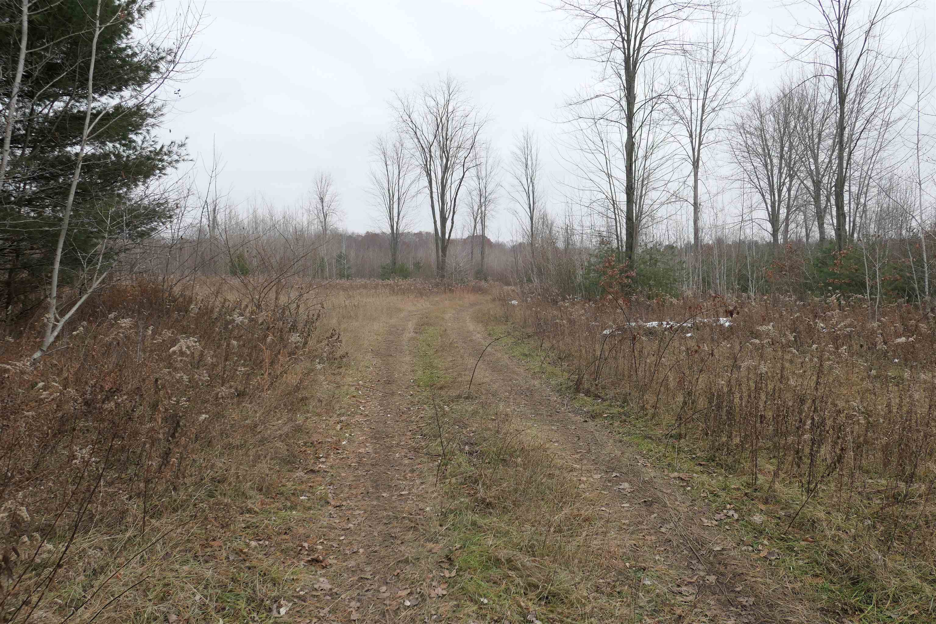 Tbd E Pickard Road Chippewa Township MI 48858